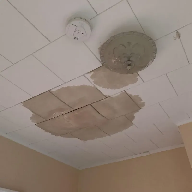 Ceiling Water Damage Repair in Savannah, GA