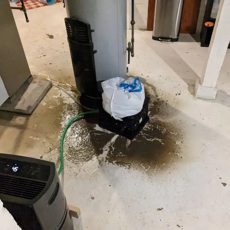 Sewage Backup Cleanup Service in Savannah, GA